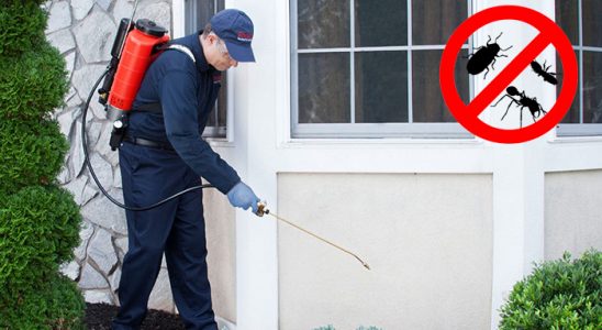 Nizip Kemirgen İlaçlama böcek ilaçlama ve haşere kontrolü — ilaclama-tr.com